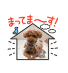 うちの子すたんぷ3（個別スタンプ：8）