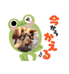 うちの子すたんぷ3（個別スタンプ：9）