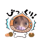 なき☆スタ（個別スタンプ：7）