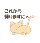 こねこのみかんちゃん2（個別スタンプ：1）