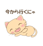 こねこのみかんちゃん2（個別スタンプ：11）