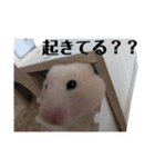 うさぎだと思った？？違います。（個別スタンプ：22）