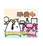 ネッコとウーパールーパーのみょうが（個別スタンプ：11）