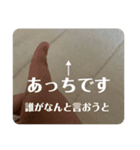 需要を完全に無視したスタンプ（個別スタンプ：3）