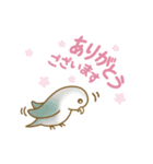 コザクラインコちゃんの文字あり＆文字なし（個別スタンプ：5）