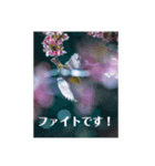 敬語で挨拶その2（個別スタンプ：12）