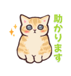 猫のごあいさつスタンプ（個別スタンプ：17）