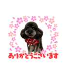 ダノ吉（個別スタンプ：9）