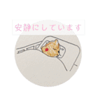 リスの闘病スタンプ（個別スタンプ：10）