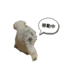 犬のペロスタンプ（個別スタンプ：5）