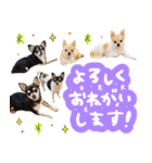 Daddy's Family2（個別スタンプ：4）
