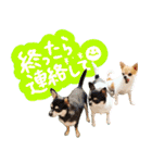 Daddy's Family2（個別スタンプ：5）