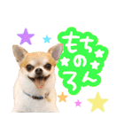 Daddy's Family2（個別スタンプ：7）