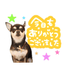 Daddy's Family2（個別スタンプ：8）