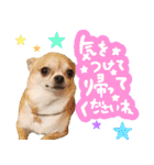 Daddy's Family2（個別スタンプ：9）