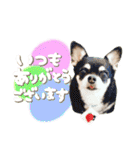 Daddy's Family2（個別スタンプ：10）