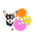 Daddy's Family2（個別スタンプ：11）