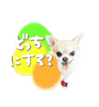 Daddy's Family2（個別スタンプ：12）