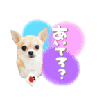 Daddy's Family2（個別スタンプ：14）