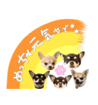 Daddy's Family2（個別スタンプ：18）