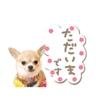Daddy's Family2（個別スタンプ：21）