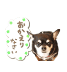 Daddy's Family2（個別スタンプ：22）