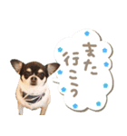 Daddy's Family2（個別スタンプ：23）