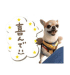 Daddy's Family2（個別スタンプ：24）