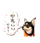 Daddy's Family2（個別スタンプ：25）