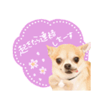 Daddy's Family2（個別スタンプ：32）