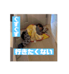 ちあきスタンプ第6弾（個別スタンプ：24）