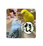 ゆきちゃん宅スタンプ27（個別スタンプ：8）