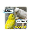 ゆきちゃん宅スタンプ27（個別スタンプ：11）