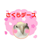ゆきちゃん宅スタンプ27（個別スタンプ：12）