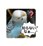 ゆきちゃん宅スタンプ27（個別スタンプ：14）
