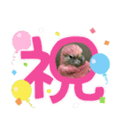 ゆきちゃん宅スタンプ27（個別スタンプ：18）