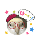 ゆきちゃん宅スタンプ27（個別スタンプ：24）