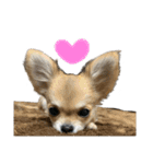 vivi stamp(♡)（個別スタンプ：3）