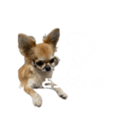 vivi stamp(♡)（個別スタンプ：9）