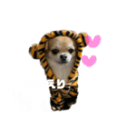 vivi stamp(♡)（個別スタンプ：13）