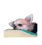 vivi stamp(♡)（個別スタンプ：21）