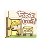 ぷっくり豆柴の日常会話（個別スタンプ：8）