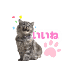 LUNA ＆ DIANA 第2弾（個別スタンプ：3）