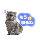 LUNA ＆ DIANA 第2弾（個別スタンプ：6）