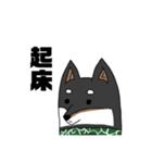 柴犬ですが何か？（個別スタンプ：1）