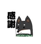 柴犬ですが何か？（個別スタンプ：2）