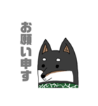 柴犬ですが何か？（個別スタンプ：9）