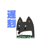 柴犬ですが何か？（個別スタンプ：14）