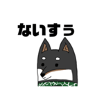 柴犬ですが何か？（個別スタンプ：15）