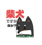 柴犬ですが何か？（個別スタンプ：16）